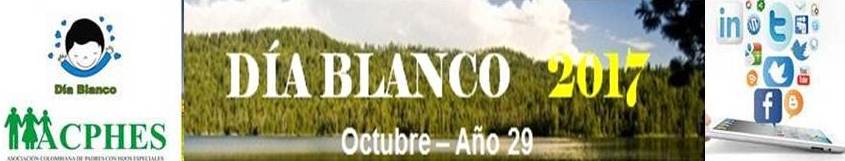 Día Blanco 2017: ¿Cumple Bogotá Sentencia T- 486  Corte Constitucional un año después?